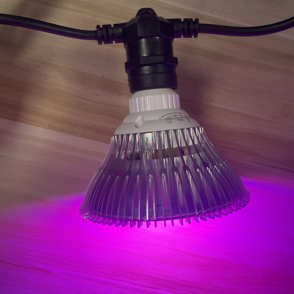 10M Cable LED String Commercia - Smart Garden Lamp review and price
