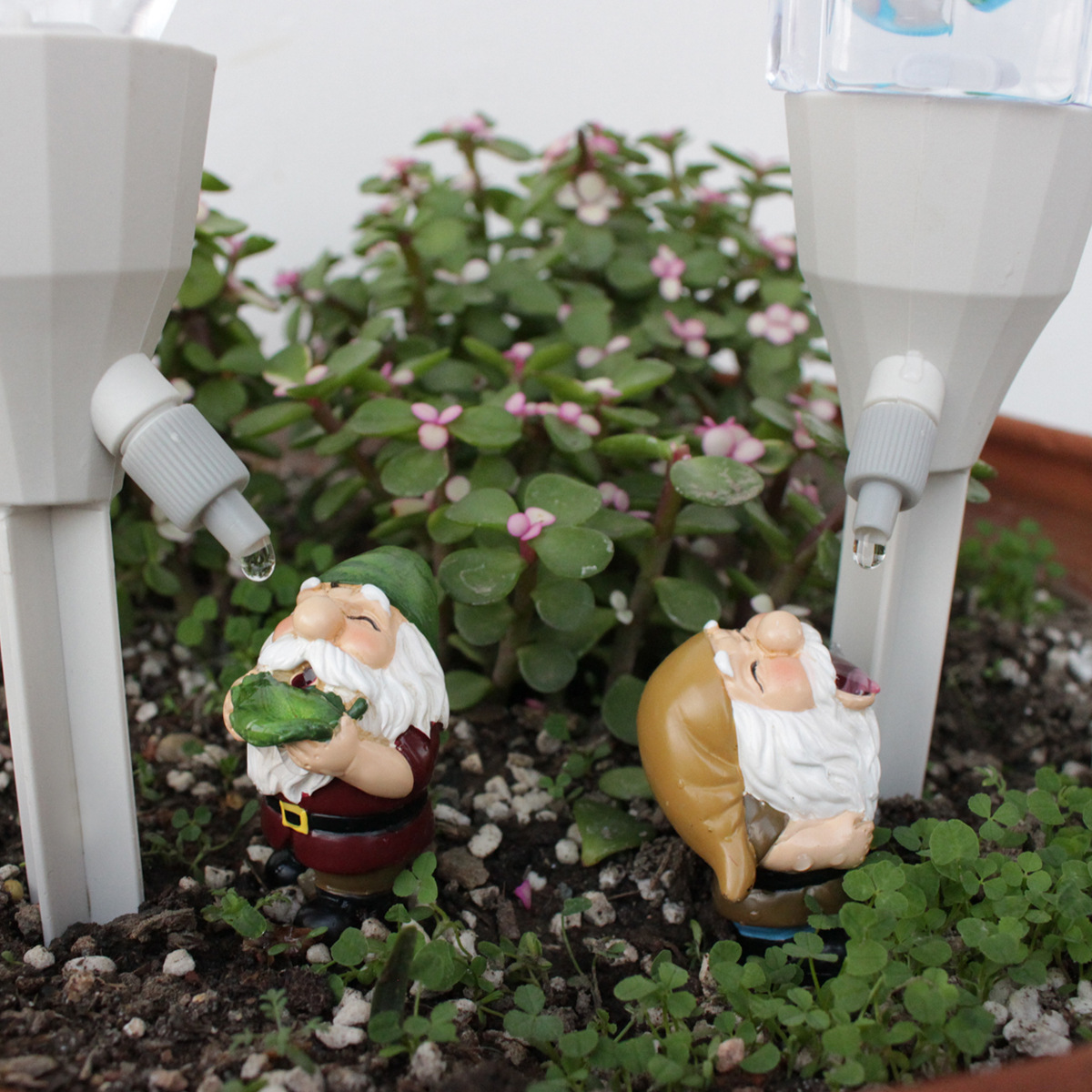 2 set Gnome Automatic Watering - Smart Garden Watering Can review and price