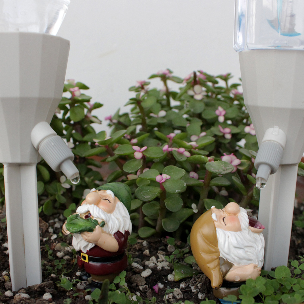 2 set Gnome Automatic Watering - Smart Garden Watering Can review and price