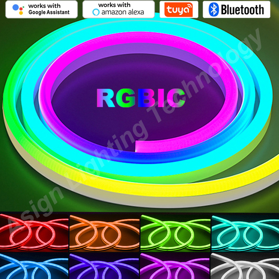 RGBIC LED Neon Strip 12V 96LED - Smart Garden Led Lights review and price